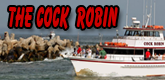 Point Pleasant Fishing