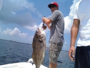 2008_catch_123_20090519_1489457492