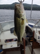 2012 Member Catches