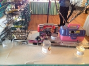6TH Annual NJ Saltwater Fisherman Banquet