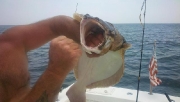 Members Catches to Remember
