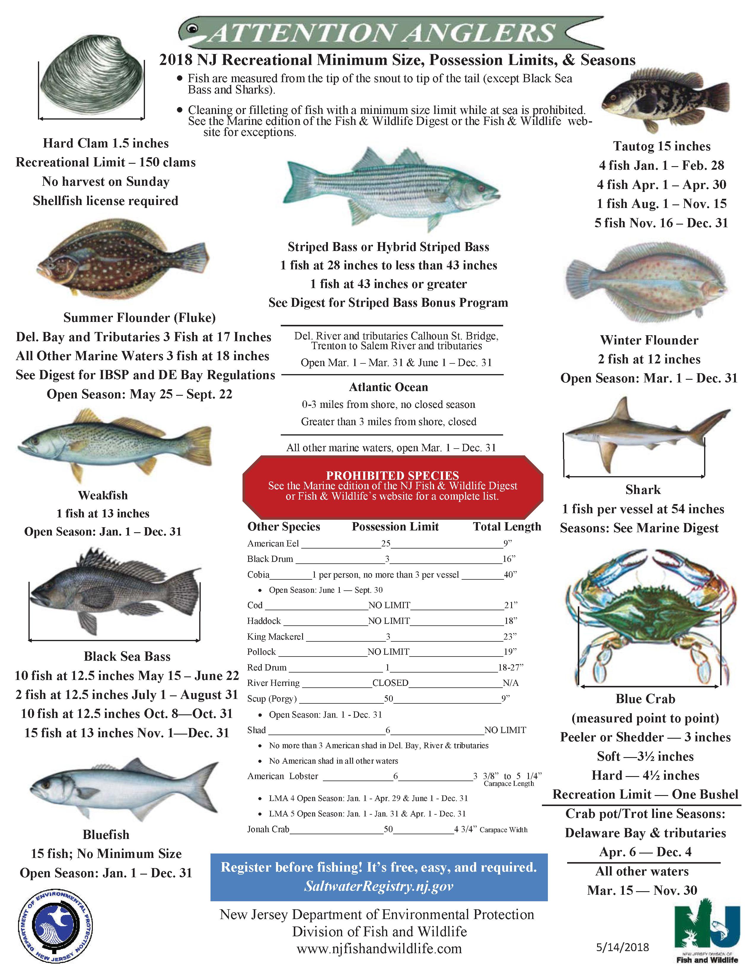 NJ Saltwater Fisherman Your 1 Source For Fishing In NJ
