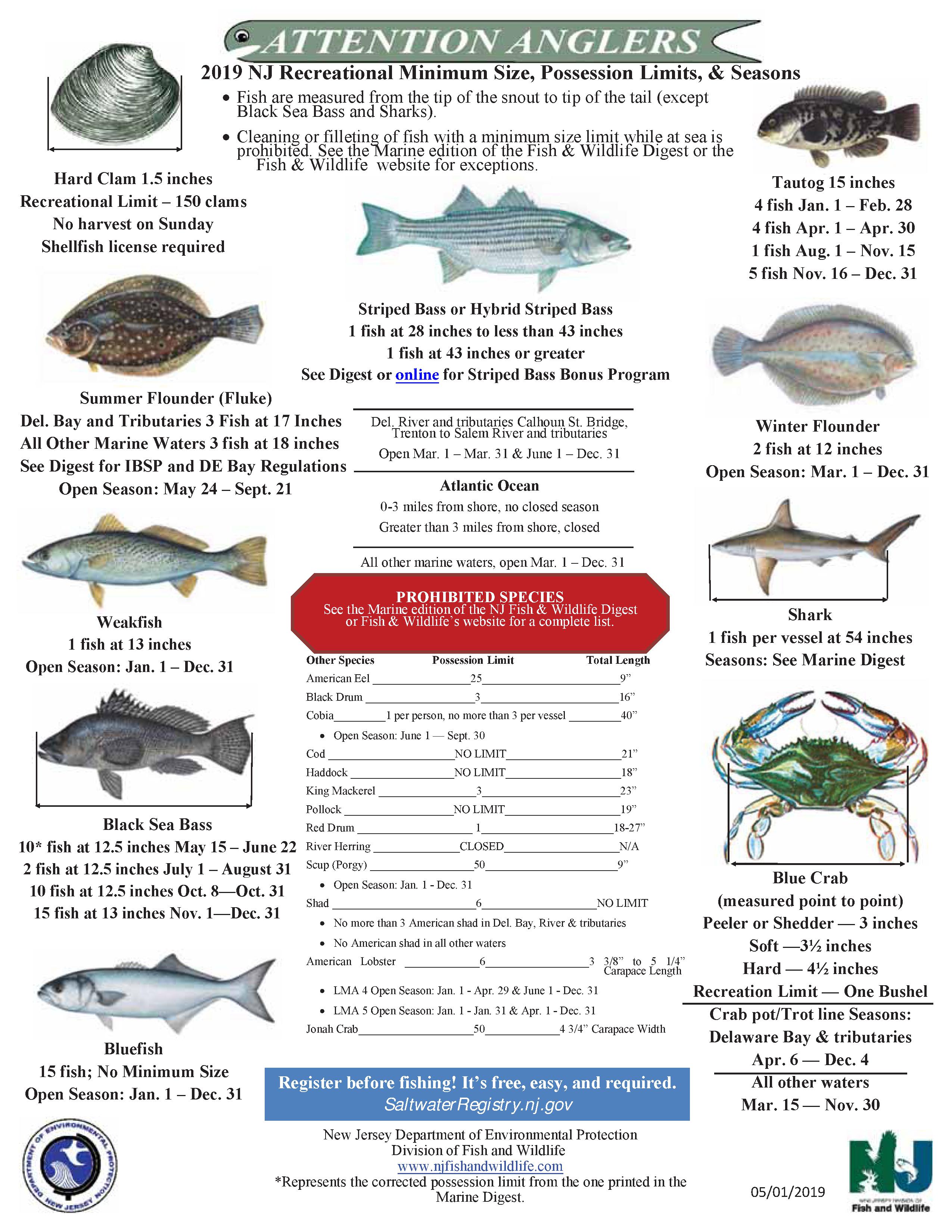 Florida Saltwater Fishing Regulations Chart