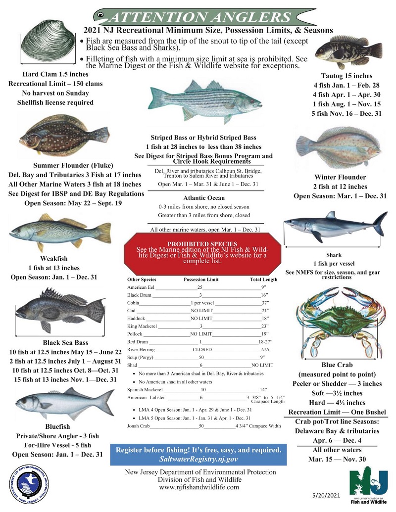 How to Surf Fish: A Comprehensive Saltwater Fishing Guide