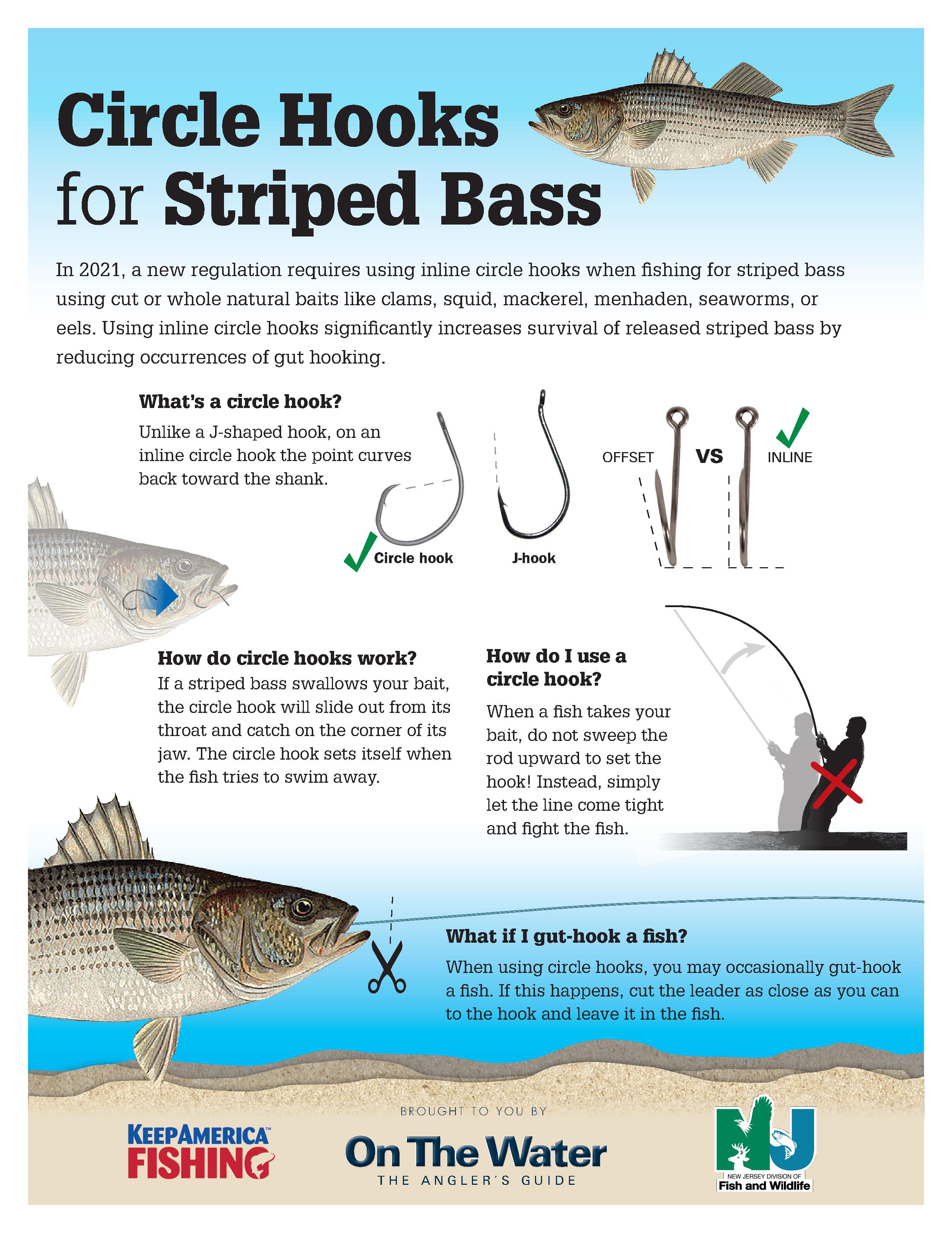 In 2021, a new regulation requires using inline circle hooks when fishing  for striped bass