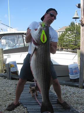 Wire Line Trolling For Stripers
